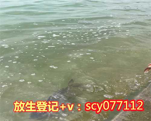 <b>放生田螺对生态环境的影响惠州,惠州放生园放生鲫鱼【鸽子多大放生最好】</b>