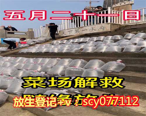 南京放生绵鲤鱼的地方，南京明清建筑介绍——宗教建筑篇