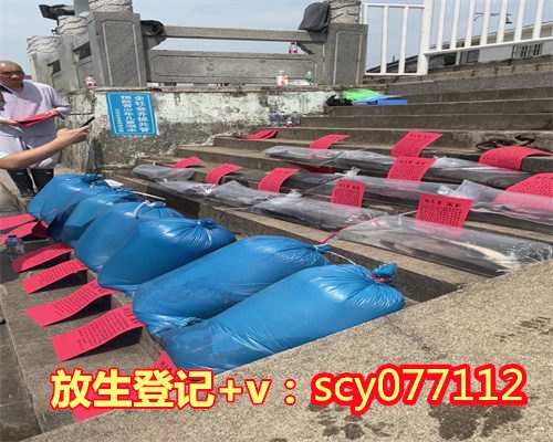 内蒙放生草龟在哪里，哪里有行善放生，哪里就有善缘出现!