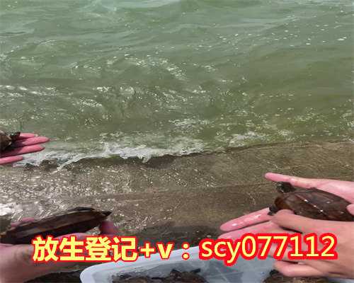 青岛做素食馆功德,青岛2023年农历八月放生吉日查询,青岛放生泥鳅