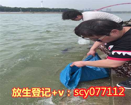 北京有无放生乌龟的地方在哪，老北京西红柿汤的做法