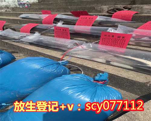 海口可以放生的地方海口,海口哪里放生飞禽最好【放生什么动物灵性最足】