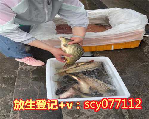 小产放生要几年，要杜绝的几种放生行为
