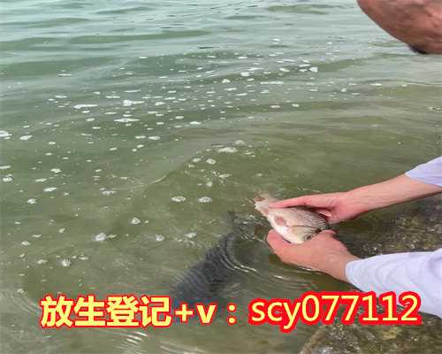 放生随喜给红包是单数还是双数郑州,郑州哪里放生蚬子最好【六月份哪天适合