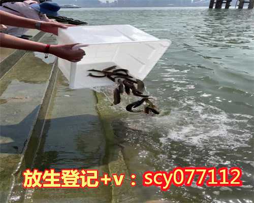 净土放生简单仪轨视频播放，最简单殊胜的放生仪轨