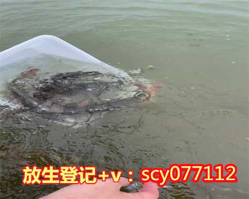 杭州哪里能放生动物