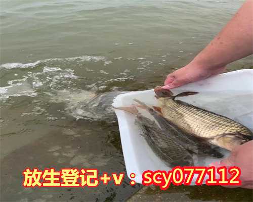 宁波人有重病放生放什么好(宁波巴西龟放生地点)