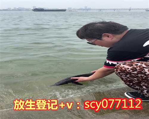 惠州读经和诵经的功德一样吗？,惠州公园放生泥鳅,惠州放生教