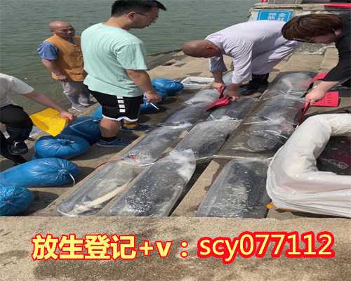怎样放生好，怎样了生死