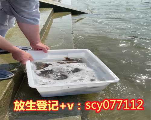 下雨天可以放生泥鳅吗为什么，求姻缘念什么咒最好？可以透露下吗？