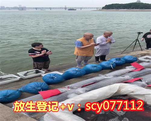 <b>石家庄哪里适合放生鳝鱼</b>