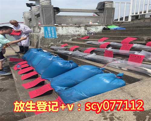 贵阳放生泥鳅什么时间最好（贵阳放生群微信二维码）