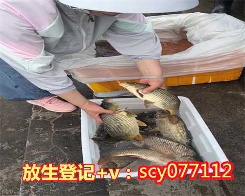黄江蝴蝶地北京可以放生吗北京，北京红鲤鱼去哪里放生【泥鳅为啥不能放生】