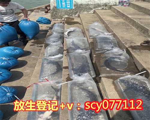 乌龟放生到河里会淹死吗，乌龟怎么放生？