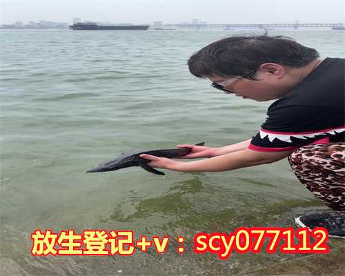 兰州二月二放生可以放生吗，兰州哪里可以放生，兰州放生放什么最好