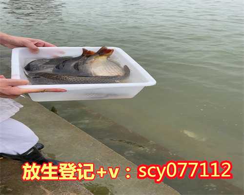 <b>河南放生团，河南哪里允许放生的地方，河南公园放生红鲤鱼</b>