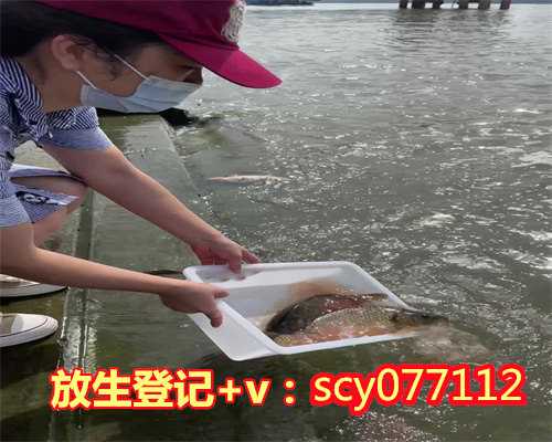 巴西龟哪里可以放生呢，巴西龟可以放生吗