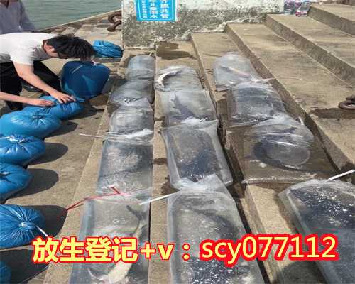 贵阳家里有病人放生怎么说话（贵阳放生咒的功效与作用禁忌）