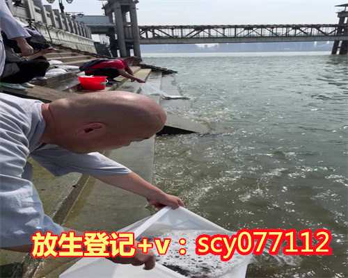 孩子高考祈福能放乌龟吗，《解放孩子的潜能》008