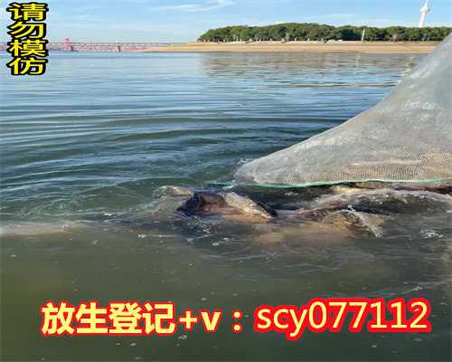 中元节放生回向文，放生功德回向疏文