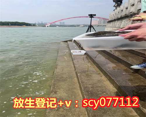 海口哪里放生