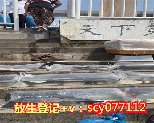 三亚放生黄鳝在哪里，三亚是冬天避寒福地游客在南山景区为海而舞