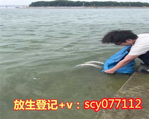 北京何地可以放生昆虫，浅谈老北京的素食
