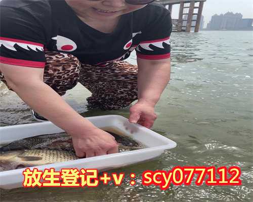 <b>刺猬怎么放生，放生不会刺激更多的养殖和捕捞</b>