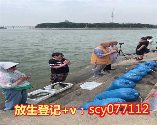 东莞放生组织,东莞老鳖去哪里放生,东莞放生的湖哪里
