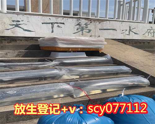 石家庄哪里适合放生牛蛙