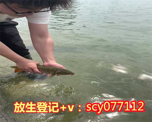 三亚何地可以放生鸟，姚明与女儿三亚放生海龟世界杯不是场场都看