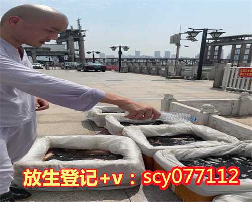 放生鱼什么时候好钓，钓鱼的可怕果报（放生）