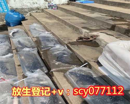 河北为子女放生回向偈语,河北能放生的地方,河北放生的地方