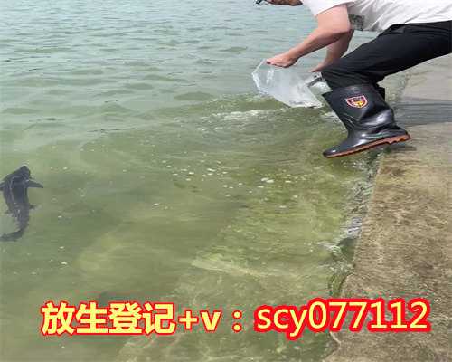 2024年放生日是几月几号啊，天蝎座是几月份出生的。