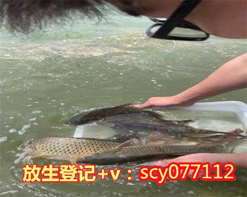 南昌每天放生坚持三个月（南昌放生鸡的地方）
