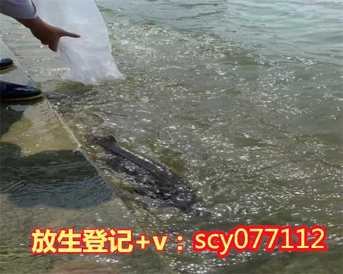 世界放生日十月初八日，8月8日建湖放生通知