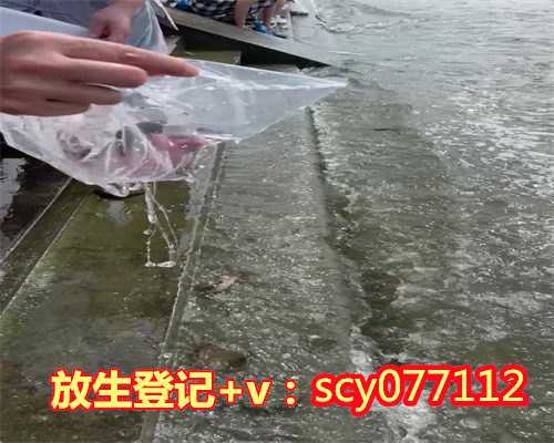 云南放生组织联系方式，云南省放生小组联系方式
