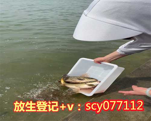 <b>昆明哪里能放生小鱼</b>