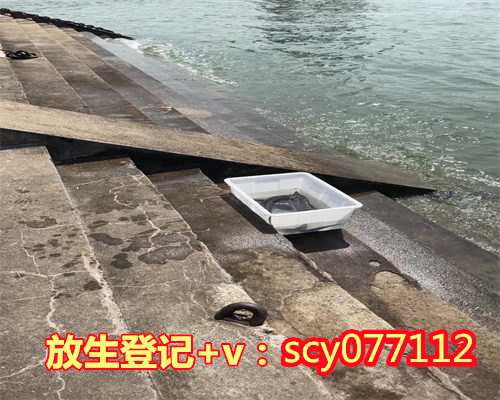 乌龟放生有什么好处吗，如何放生_放生有什么好处_放生要念什么