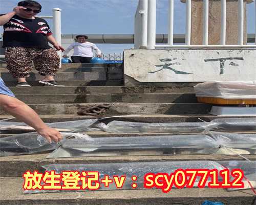 河北有放生乌龟的地方吗在哪,河北哪里能放生鹌鹑,河北冬天怎么放生鱼籽呢