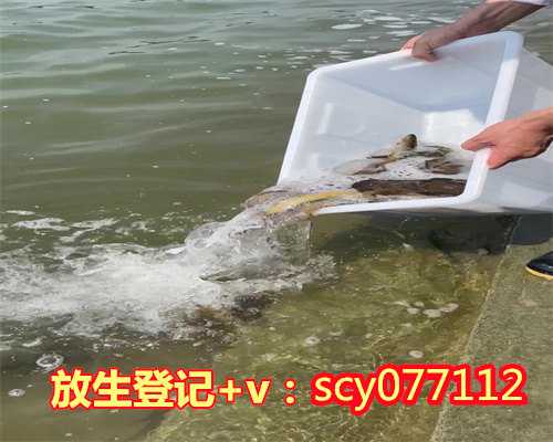 温江去哪里放生最好河北，河北哪里放生蚬子最好【河北放生鱼的地方在哪】