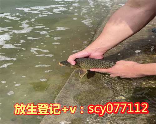 青岛适合放生的地点青岛,青岛放生蚯蚓在哪里【生日放生什么动物好吉利一点