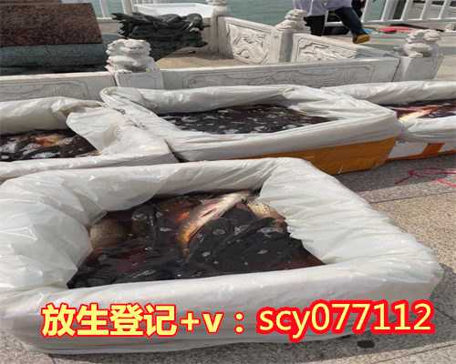 北京哪里能放生鳝鱼，北京密云的发展怎么样？