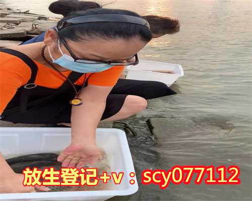 青蟹放生到海里能活吗海口，海口湖哪里能放生田鸡【放生鱼好还是乌龟好呢】