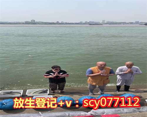 东莞哪里适合放生乌龟，律蛇被卡居民捞鱼网东莞消防员解救后放生