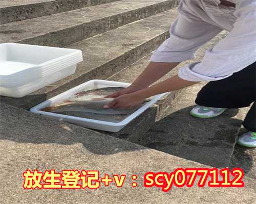 济南放生螺丝在哪里