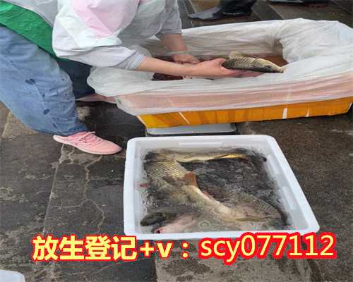 广东放生治好了我的精神疾病，广东哪里可以放生蛇呢，广东免费放生网