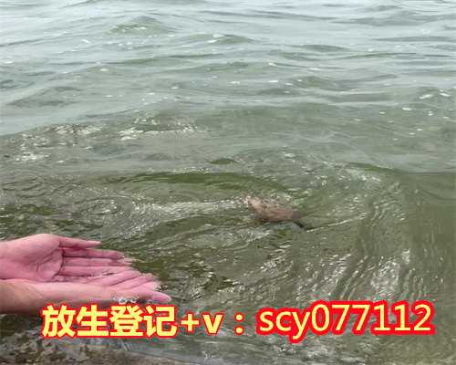 成都放生园放生甲鱼