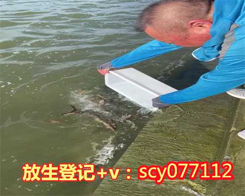 <b>石家庄哪里有放生泥鳅的地方石家庄,石家庄哪里可以放生蛇【苍南放生兔子的</b>