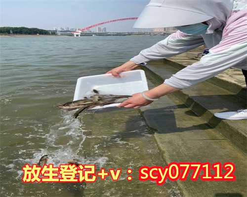 放生能改命吗，放生就会快速改命